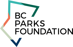 BCPF Logo